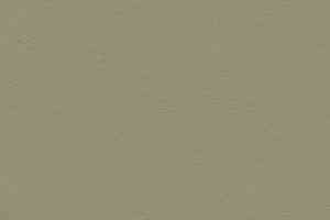 Линолеум Forbo Marmoleum Decibel on Order 335535 rosemary green фото  | FLOORDEALER